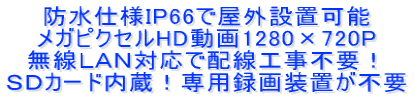 hdlIP66ŉOݒu\ KsNZHD1280~720P k`mΉŔzHsvI rcJ[hIp^摕usv